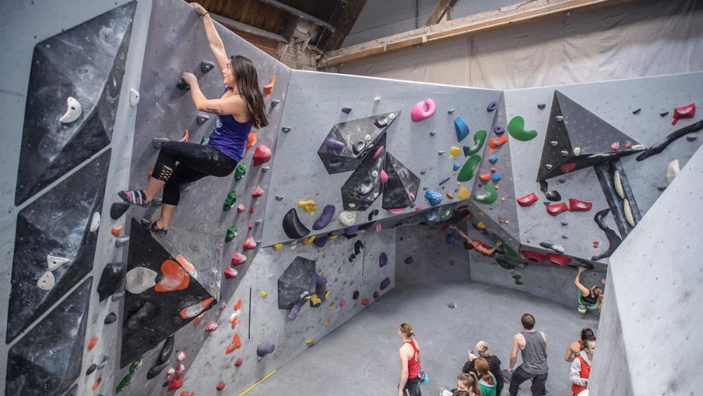 People climbing a wall in a climbing Gym