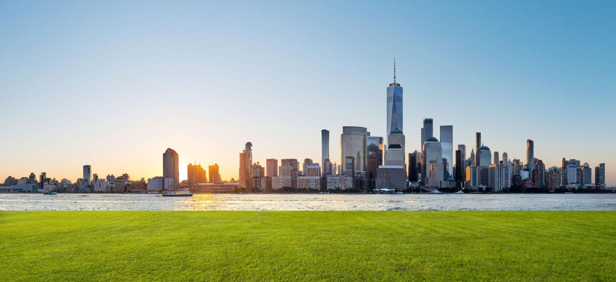 City skyline from a distance